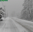 snow 245285 960 720 - Trisosny.ru
