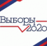 ПРЕДВАРИТЕЛЬНЫЕ ИТОГИ ГОЛОСОВАНИЯ - Администрация г. Димитровград