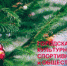 ГОРОДСКАЯ АФИША КУЛЬТУРНЫХ, СПОРТИВНЫХ и ОБЩЕСТВЕННЫХ МЕРОПРИЯТИЙ - Администрация г. Димитровград