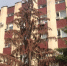 Безымянный 14 - Trisosny.ru