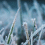 ЕДДС ПРЕДУПРЕЖДАЕТ О ПОНИЖЕНИИ ТЕМПЕРАТУРЫ ВОЗДУХА - Администрация г. Димитровград