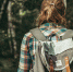 forest 4937917 960 720 - Trisosny.ru