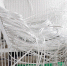 DSC00293 - Trisosny.ru