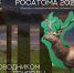 📸 Фотоконкурс от Росатома и международного фестиваля «Золотая черепаха»!. - Администрация г. Димитровград