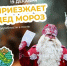 19 декабря в эко-парк "Шишкин" приезжает Дед Мороз!😍. - Администрация г. Димитровград
